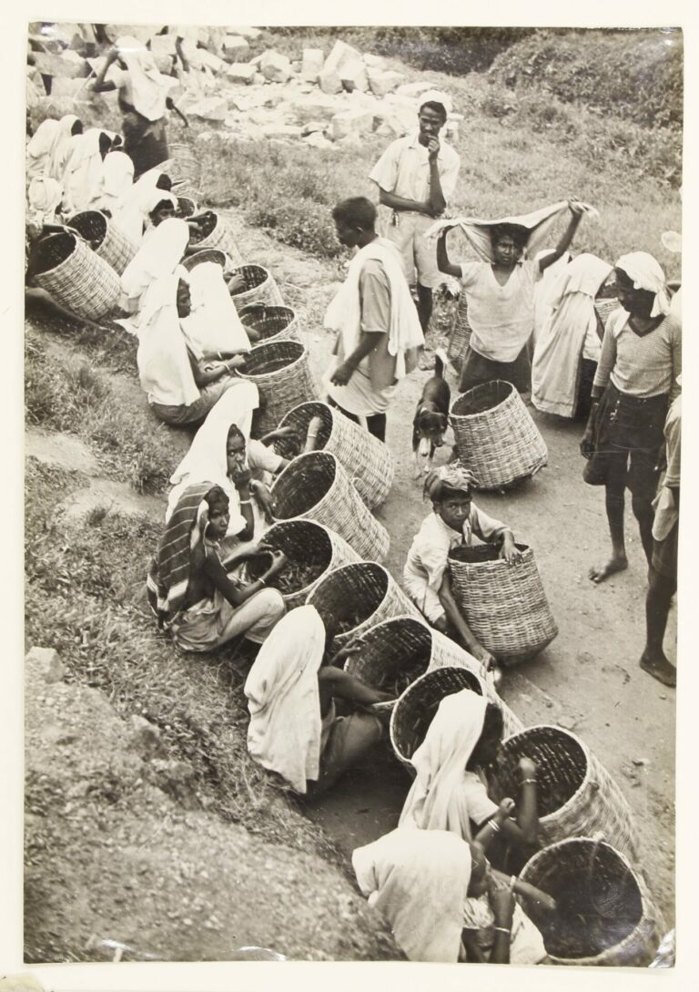 Most of the workers are seated, some are standing, all with very large open-mouthed baskets.