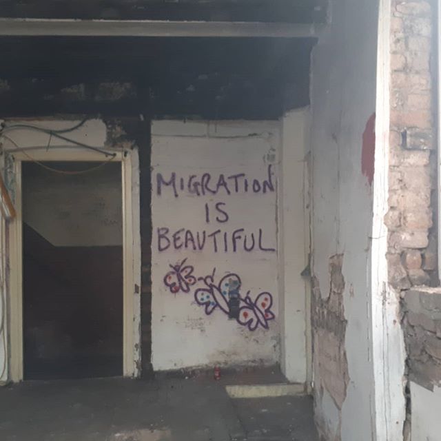 Graffiti of the phrase Migration is beautiful with butterflies in the ruin of a building likely used as shelter for migrants.