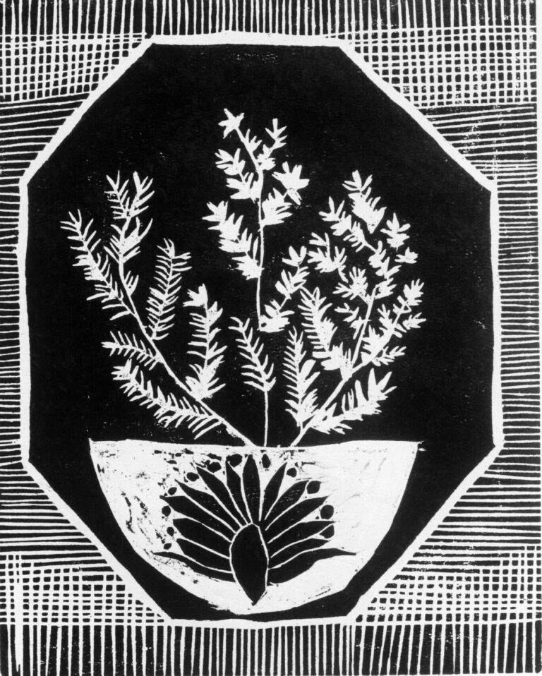 Black and white engraving of a fern-like plant in a rustic pot with hatchmarks framing a hexagonal black center field.